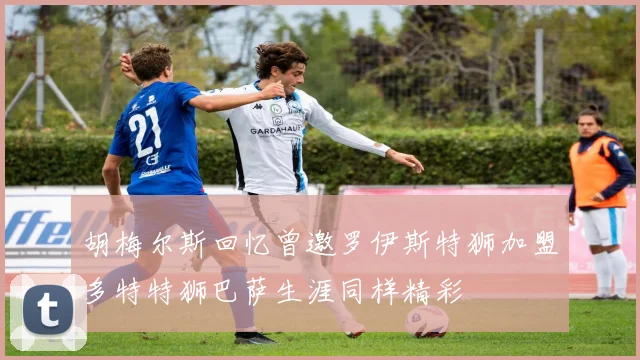 胡梅尔斯回忆曾邀罗伊斯特狮加盟多特特狮巴萨生涯同样精彩